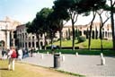 The Colloseum