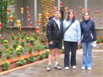 Gerona flower exhibition