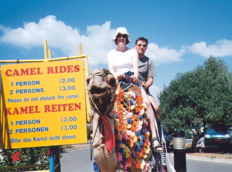 Poor Camel