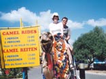 Camel ride