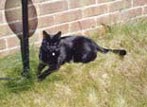 Boris - April 2002