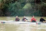 Nick rowing