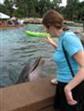 Melanie Feeding Dolphins at SeaWorld