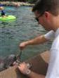 Richard Feeding Dolphins at SeaWorld