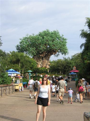 Animal Kingdom - Tree of Life