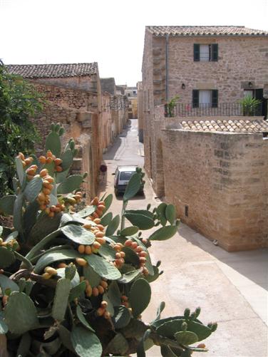 Alcudia Old Town