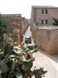 The Old Town of Alcudia
