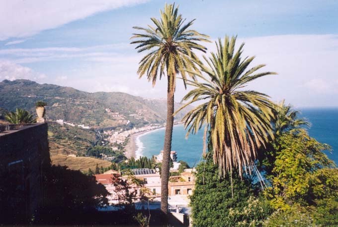 The view