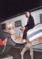 Mel on a camel at the Arabian feast