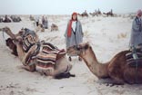 Melanie with our camels