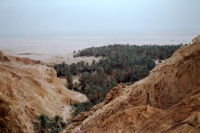 Oasis at Chebika