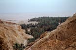 Oasis at Chebika